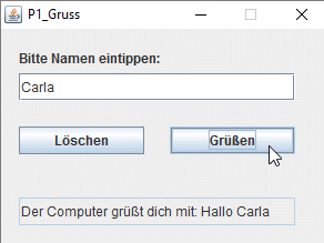 Oberfläche des Programms P1