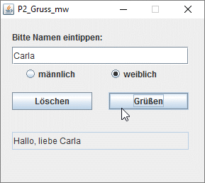 Oberfläche des Programms P2