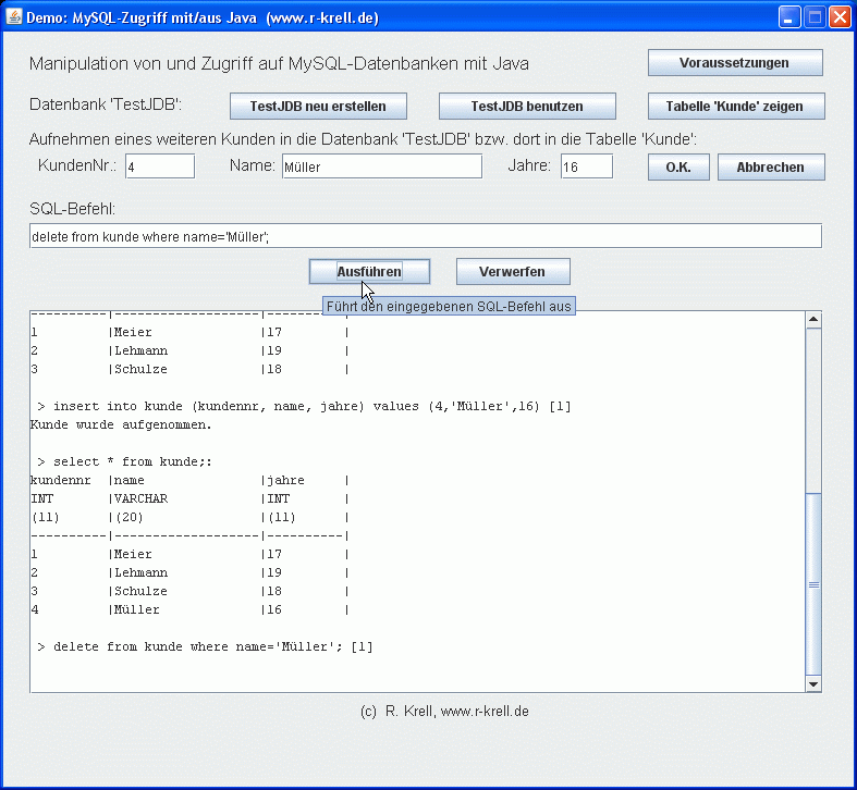 Das Programm in Aktion -- Blick auf die Oberfläche mit Beispielausgaben (Screenshot)