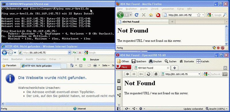 Bildschirmansicht: ping und 3 Browserfenster für 81.169.145.75 (www.r-krell.de)