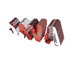 "JAVA"